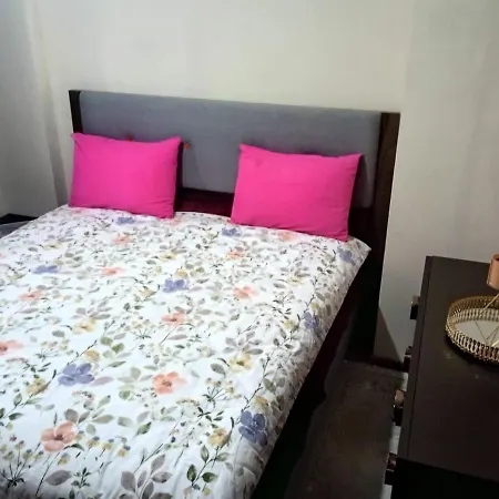 Gasthof Aykor Homestay